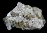 Chalcopyrite & Calcite Specimen - Missouri #35114-2